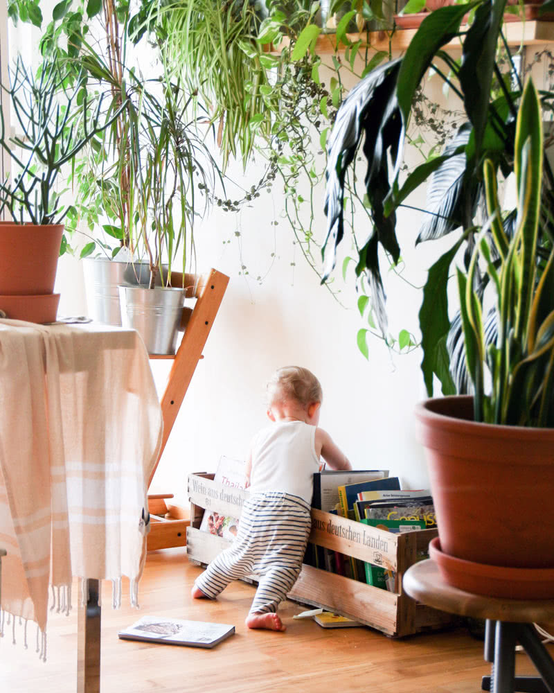 Amazon Baby Registry online gifts - Baby Gear Essentials
