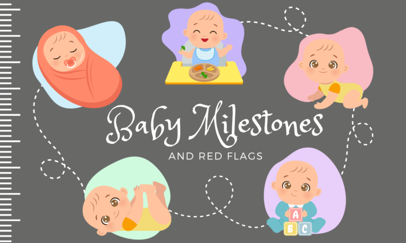 First Year Baby Developmental Milestones and Red Flags