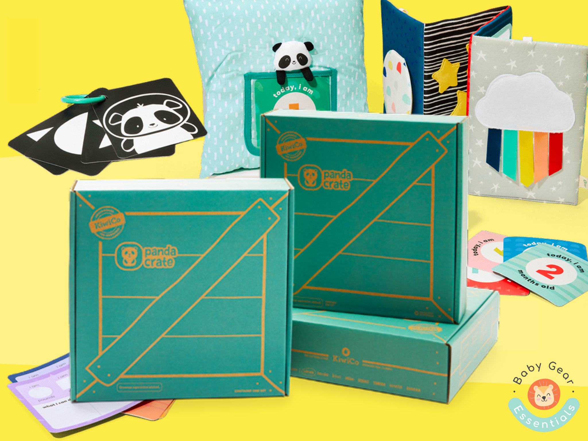 Panda Crate Toddler and Baby Subscription Box