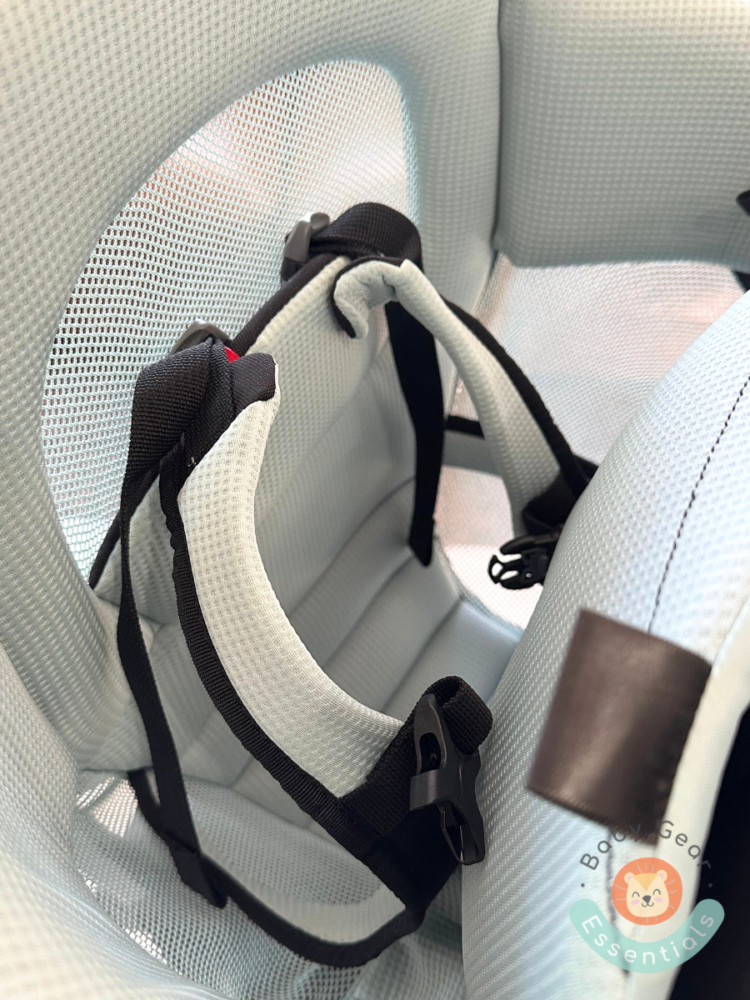 Thule Sapling carrier child seat and harness close up